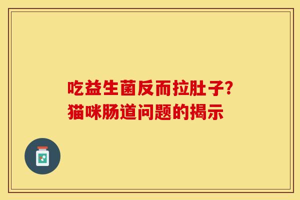 吃益生菌反而拉肚子？猫咪肠道问题的揭示