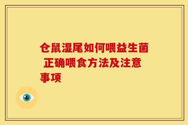 仓鼠湿尾如何喂益生菌 正确喂食方法及注意事项