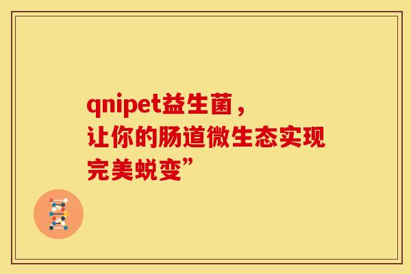 qnipet益生菌，让你的肠道微生态实现完美蜕变”