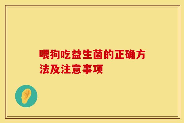 喂狗吃益生菌的正确方法及注意事项