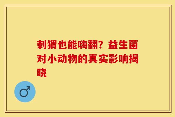 刺猬也能嗨翻？益生菌对小动物的真实影响揭晓
