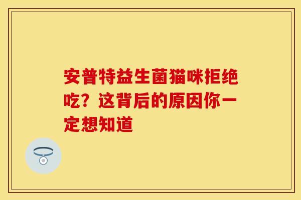 安普特益生菌猫咪拒绝吃？这背后的原因你一定想知道