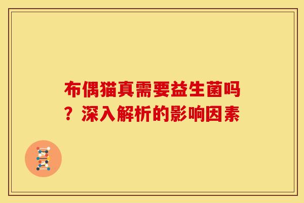 布偶猫真需要益生菌吗？深入解析的影响因素