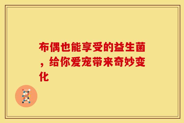 布偶也能享受的益生菌，给你爱宠带来奇妙变化
