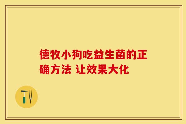德牧小狗吃益生菌的正确方法 让效果大化