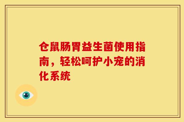 仓鼠肠胃益生菌使用指南，轻松呵护小宠的消化系统