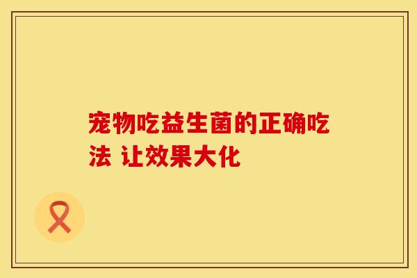 宠物吃益生菌的正确吃法 让效果大化