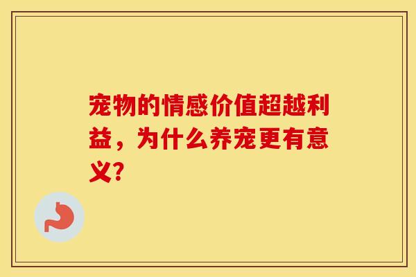 宠物的情感价值超越利益，为什么养宠更有意义？
