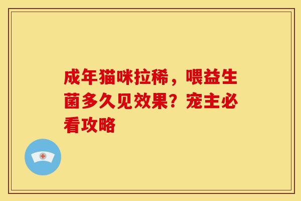 成年猫咪拉稀，喂益生菌多久见效果？宠主必看攻略