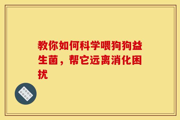 教你如何科学喂狗狗益生菌，帮它远离消化困扰