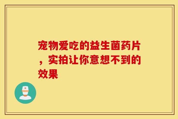 宠物爱吃的益生菌药片，实拍让你意想不到的效果