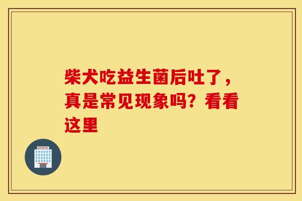 柴犬吃益生菌后吐了，真是常见现象吗？看看这里