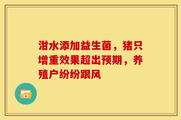泔水添加益生菌，猪只增重效果超出预期，养殖户纷纷跟风