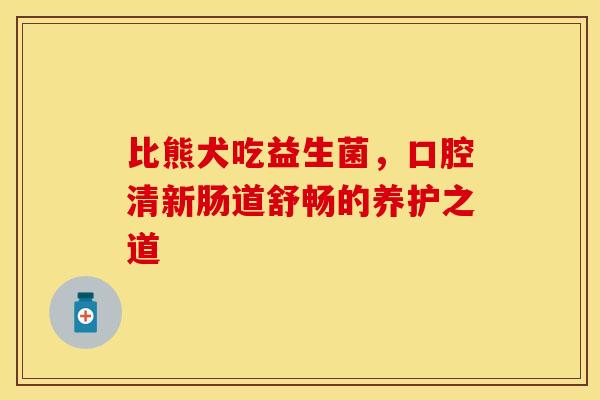 比熊犬吃益生菌，口腔清新肠道舒畅的养护之道