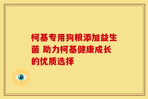 柯基专用狗粮添加益生菌 助力柯基健康成长的优质选择