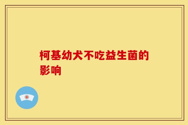 柯基幼犬不吃益生菌的影响