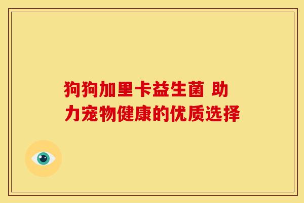 狗狗加里卡益生菌 助力宠物健康的优质选择