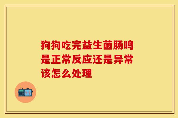 狗狗吃完益生菌肠鸣 是正常反应还是异常 该怎么处理