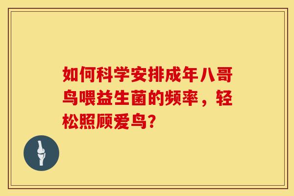 如何科学安排成年八哥鸟喂益生菌的频率，轻松照顾爱鸟？
