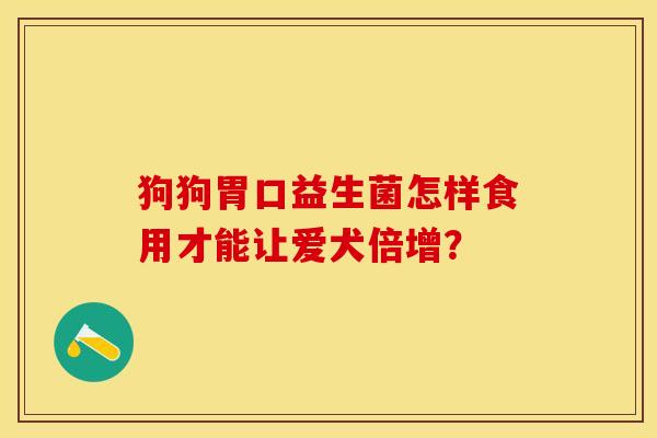 狗狗胃口益生菌怎样食用才能让爱犬倍增？