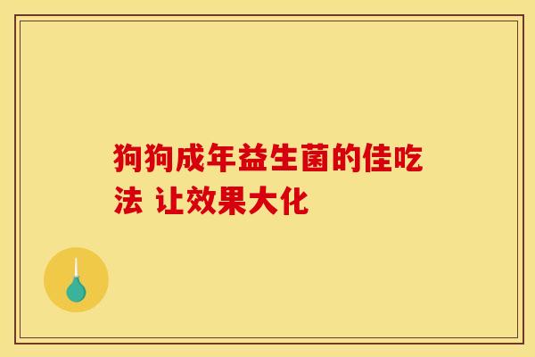 狗狗成年益生菌的佳吃法 让效果大化