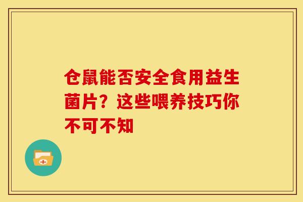 仓鼠能否安全食用益生菌片？这些喂养技巧你不可不知