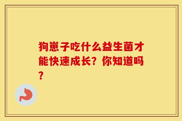 狗崽子吃什么益生菌才能快速成长？你知道吗？