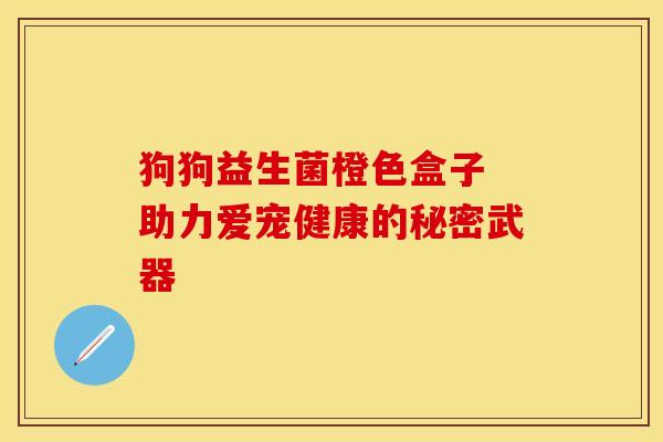 狗狗益生菌橙色盒子 助力爱宠健康的秘密武器