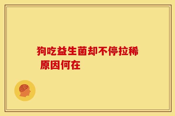 狗吃益生菌却不停拉稀 原因何在