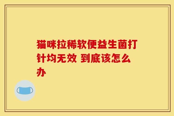 猫咪拉稀软便益生菌打针均无效 到底该怎么办