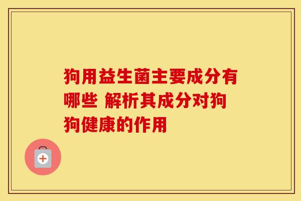 狗用益生菌主要成分有哪些 解析其成分对狗狗健康的作用