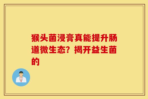 猴头菌浸膏真能提升肠道微生态？揭开益生菌的