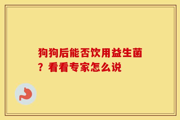 狗狗后能否饮用益生菌？看看专家怎么说