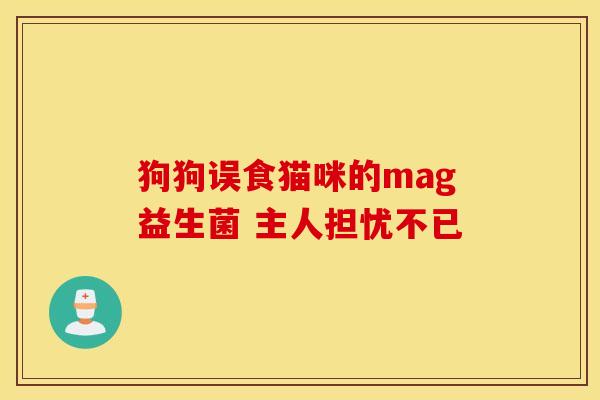 狗狗误食猫咪的mag益生菌 主人担忧不已