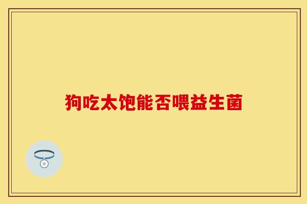 狗吃太饱能否喂益生菌