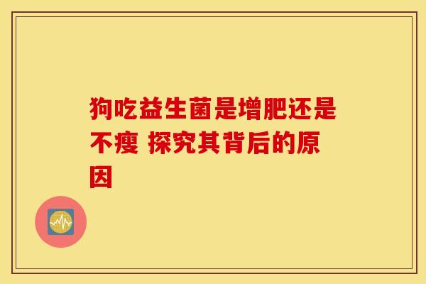 狗吃益生菌是增肥还是不瘦 探究其背后的原因