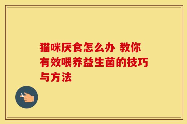 猫咪厌食怎么办 教你有效喂养益生菌的技巧与方法