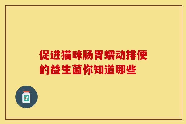 促进猫咪肠胃蠕动排便的益生菌你知道哪些