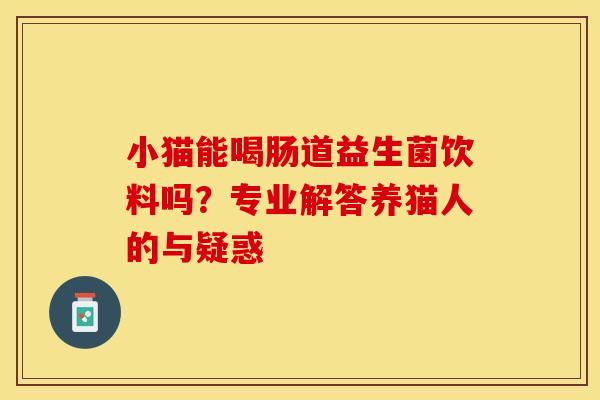 小猫能喝肠道益生菌饮料吗？专业解答养猫人的与疑惑