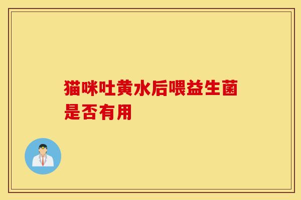 猫咪吐黄水后喂益生菌是否有用