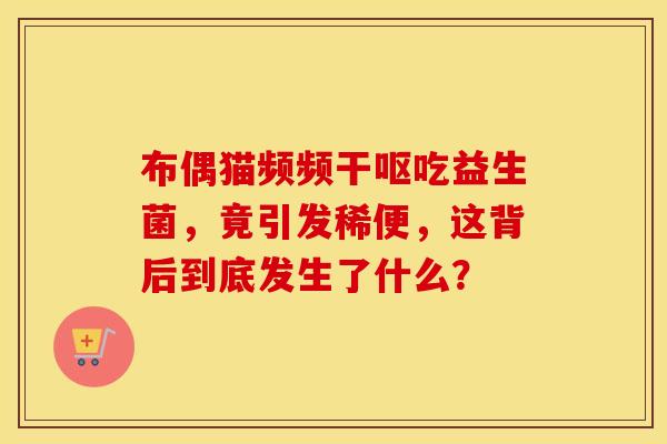 布偶猫频频干呕吃益生菌，竟引发稀便，这背后到底发生了什么？