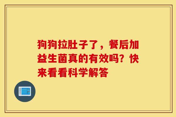 狗狗拉肚子了，餐后加益生菌真的有效吗？快来看看科学解答