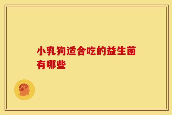 小乳狗适合吃的益生菌有哪些