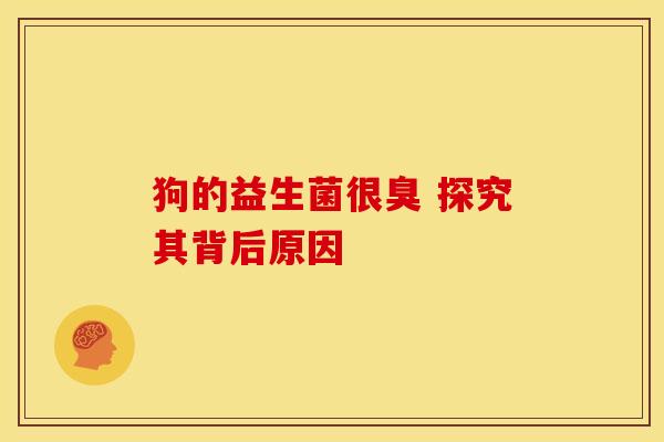 狗的益生菌很臭 探究其背后原因