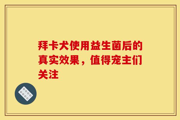 拜卡犬使用益生菌后的真实效果，值得宠主们关注