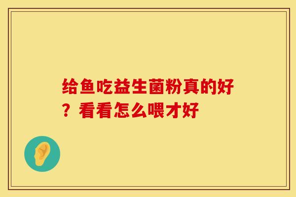 给鱼吃益生菌粉真的好？看看怎么喂才好