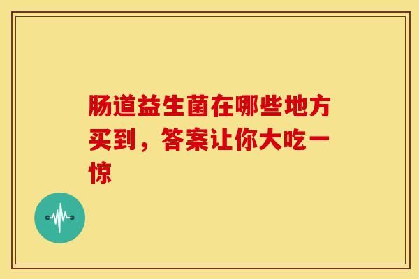 肠道益生菌在哪些地方买到，答案让你大吃一惊