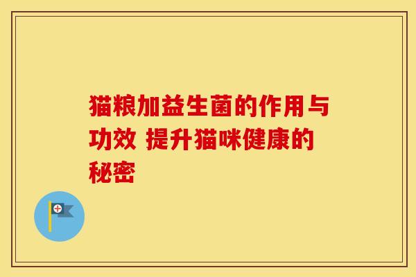 猫粮加益生菌的作用与功效 提升猫咪健康的秘密