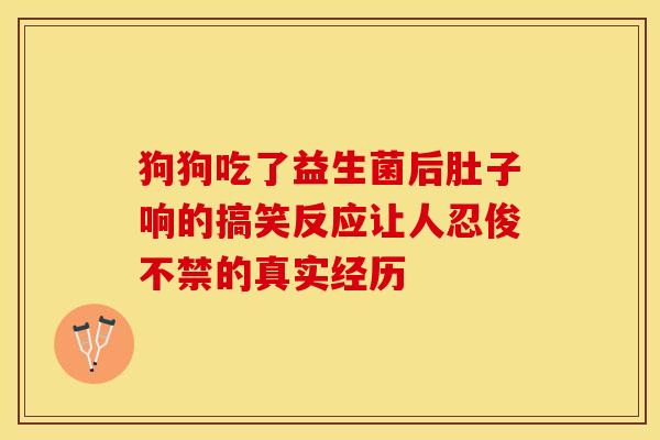 狗狗吃了益生菌后肚子响的搞笑反应让人忍俊不禁的真实经历