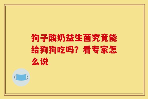 狗子酸奶益生菌究竟能给狗狗吃吗？看专家怎么说